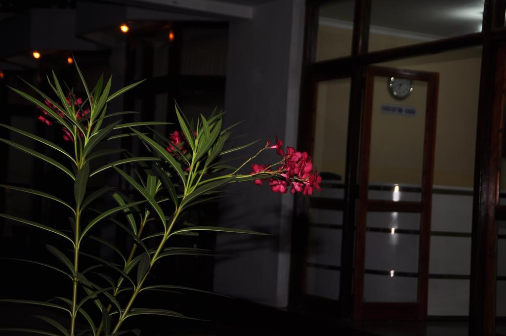 Melbourne Tourist Rest Hotel Anuradhapura Luaran gambar